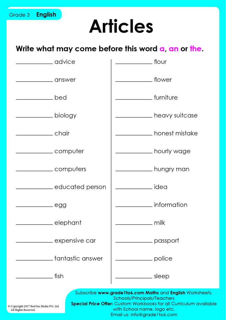 Article Worksheet for Class 3