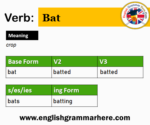 Bat Past And Past Participle Form V1 V2 V3 V4 V5 Form of Bat