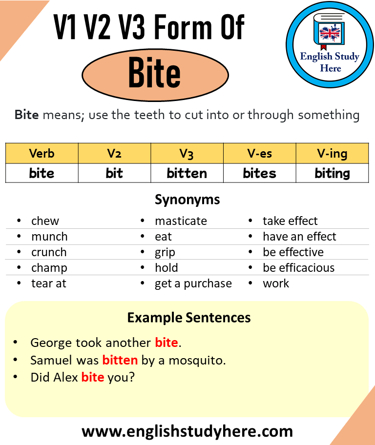 Bite Past And Past Participle Form V1 V2 V3 V4 V5 Form of Bite