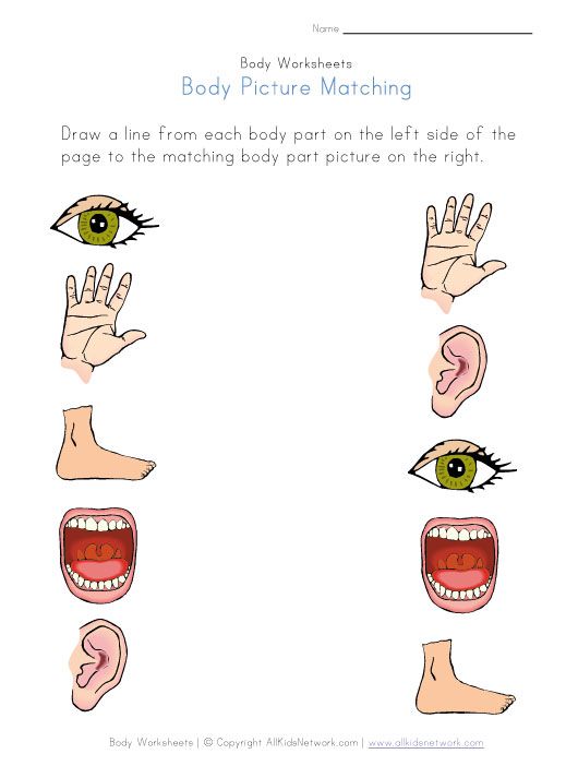 Body Parts Matching Worksheet