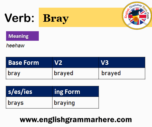 Bray Past And Past Participle Form V1 V2 V3 V4 V5 Form of Bray