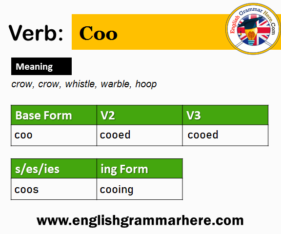 Coo Past And Past Participle Form V1 V2 V3 V4 V5 Form of Coo