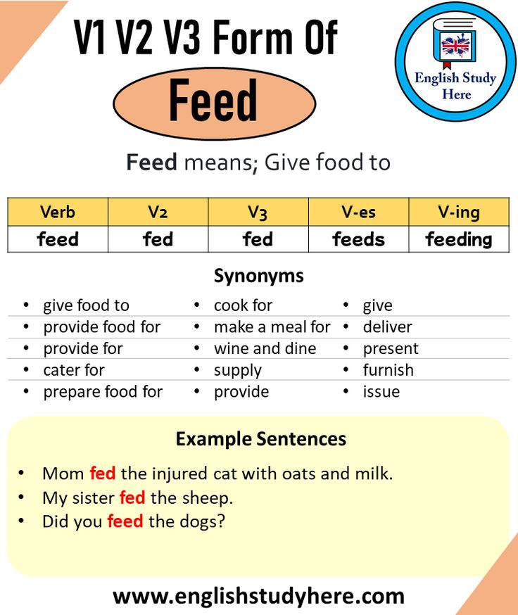 Feed Past And Past Participle Form V1 V2 V3 V4 V5 Form of Feed