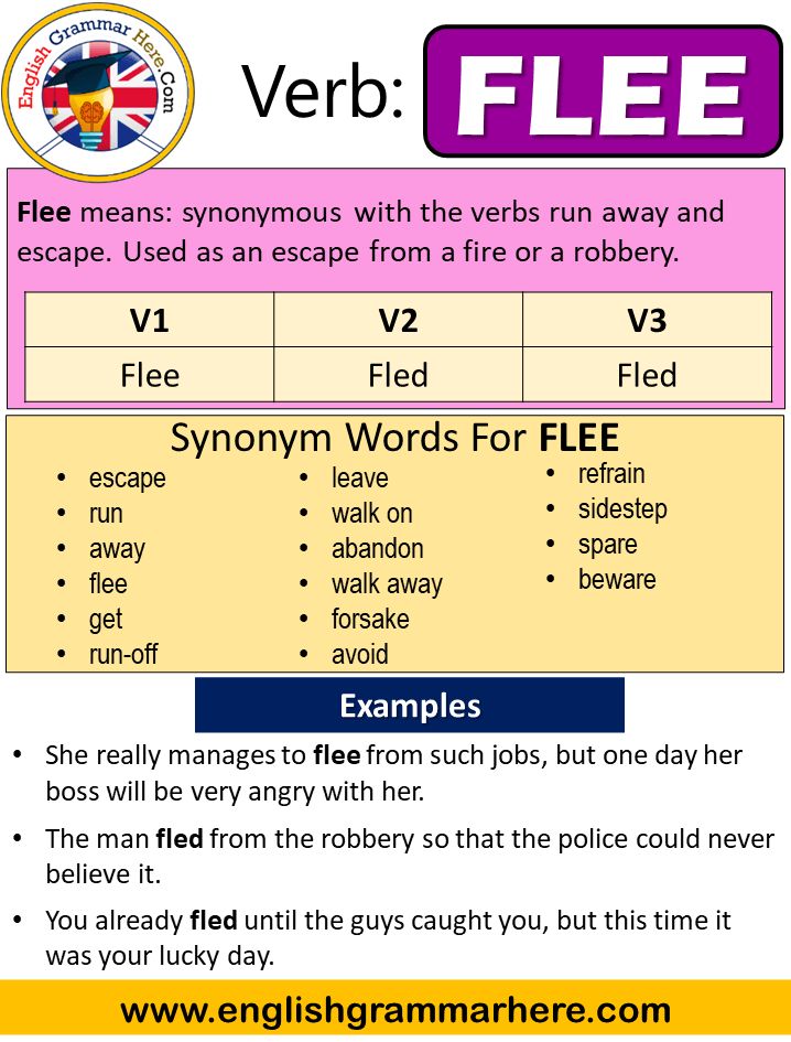 Flee Past And Past Participle Form V1 V2 V3 V4 V5 Form of Flee