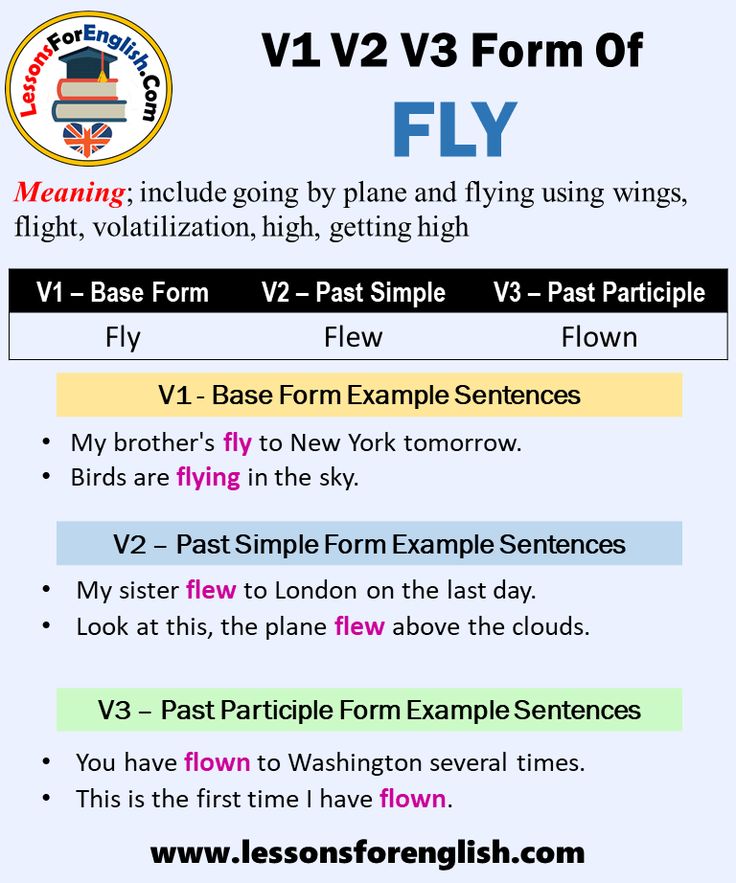 Fly Past And Past Participle Form V1 V2 V3 V4 V5 Form of Fly