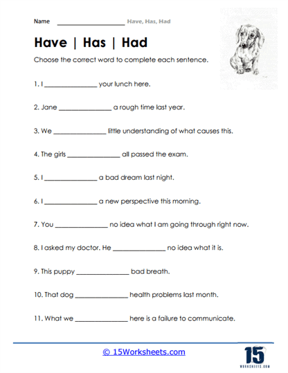 Had Worksheets