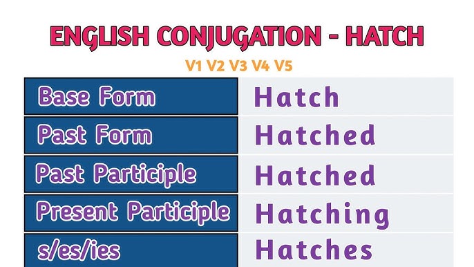 Hatch Past And Past Participle Form V1 V2 V3 V4 V5 Form of Hatch