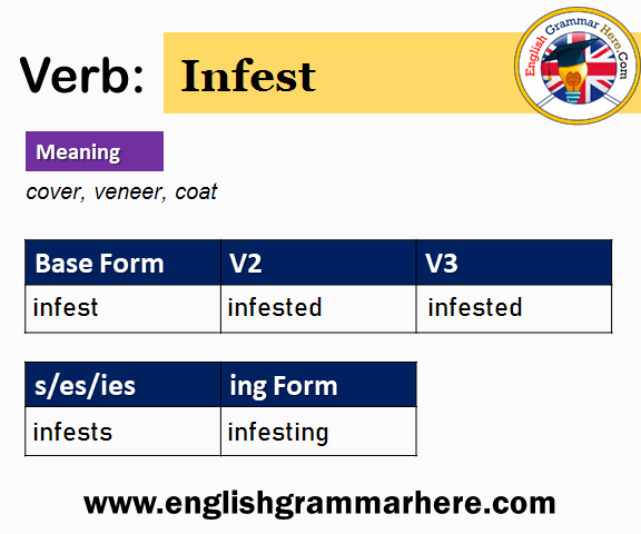 Infest Past And Past Participle Form V1 V2 V3 V4 V5 Form of Infest