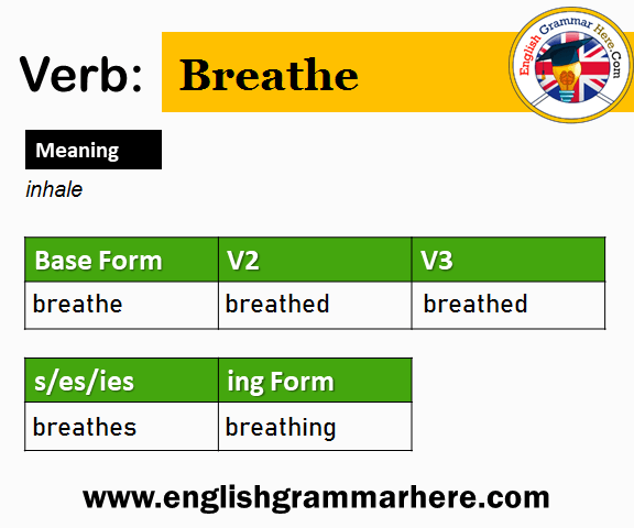 Inhale Past And Past Participle Form V1 V2 V3 V4 V5 Form of Inhale