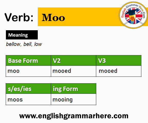 Moo Past And Past Participle Form V1 V2 V3 V4 V5 Form of Moo