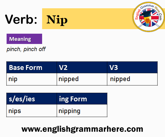 Nip Past And Past Participle Form V1 V2 V3 V4 V5 Form of Nip
