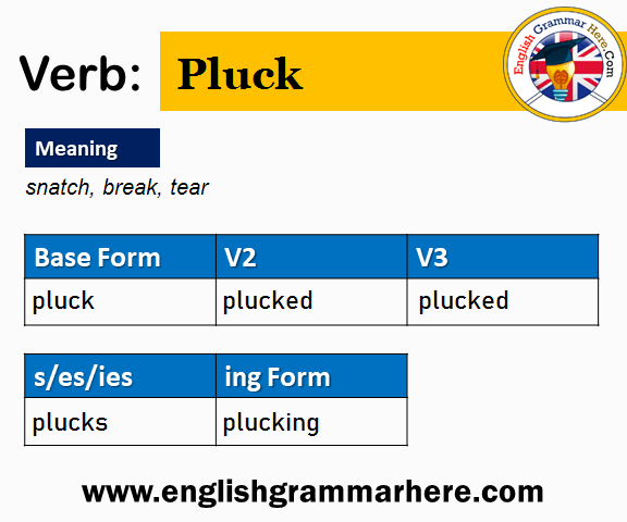 Pluck Past And Past Participle Form V1 V2 V3 V4 V5 Form of Pluck