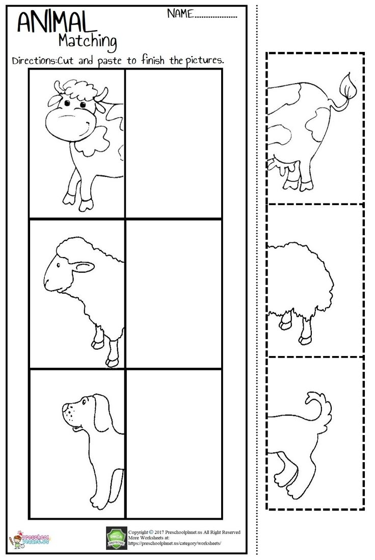 Preschool Animal Worksheets