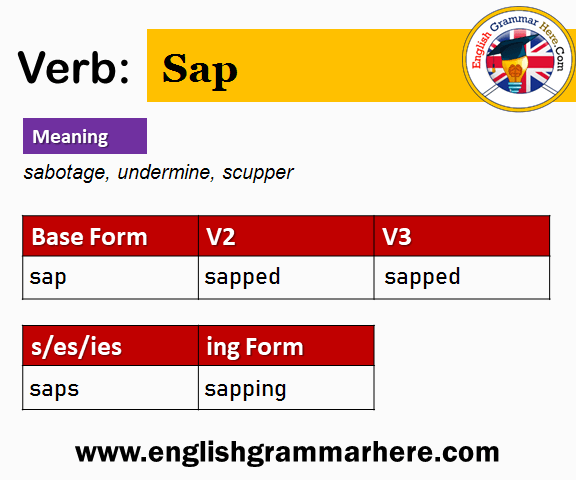 Sap Past And Past Participle Form V1 V2 V3 V4 V5 Form of Sap