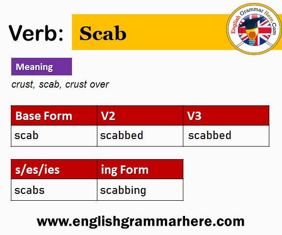 Scab Past And Past Participle Form V1 V2 V3 V4 V5 Form of Scab