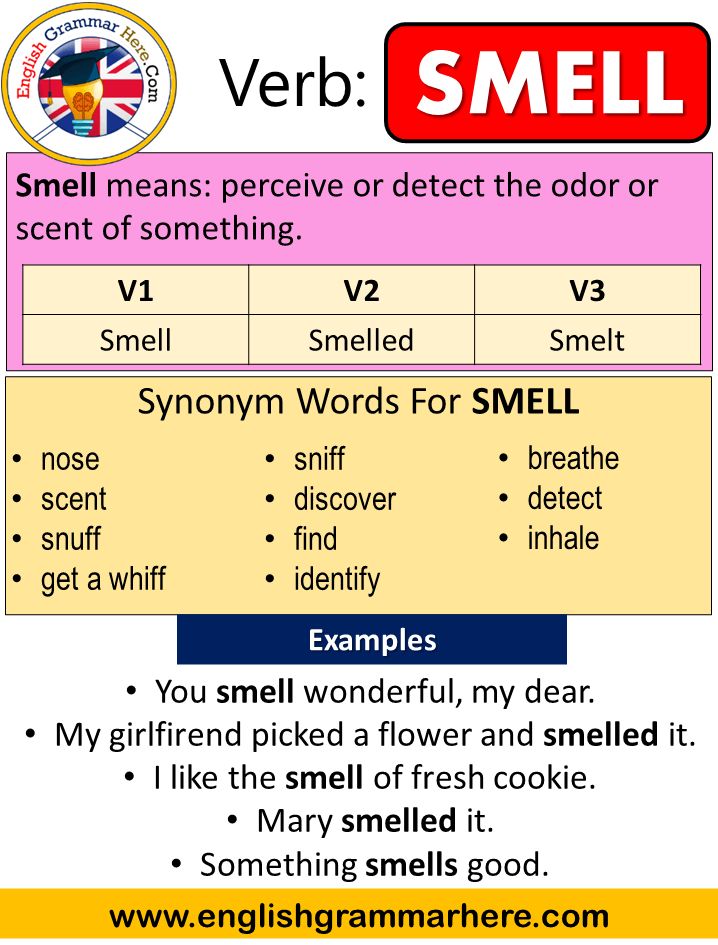 Smell Past And Past Participle Form V1 V2 V3 V4 V5 Form of Smell