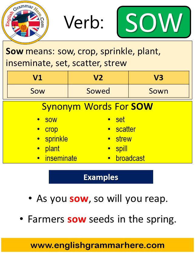 Sow Past And Past Participle Form V1 V2 V3 V4 V5 Form of Sow