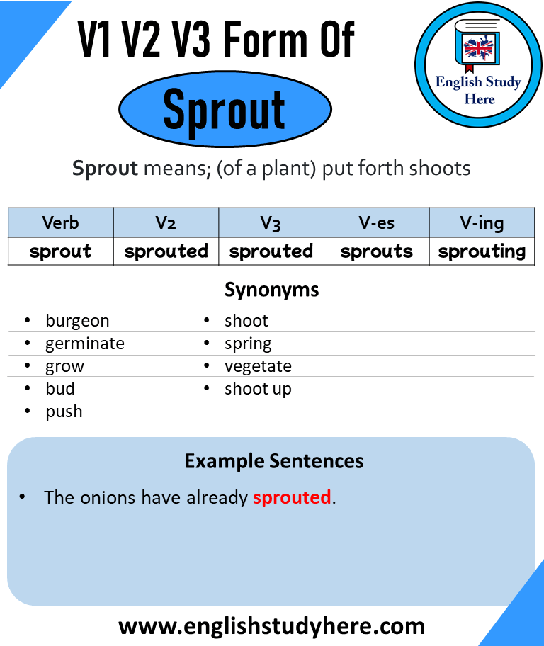 Sprout Past And Past Participle Form V1 V2 V3 V4 V5 Form of Sprout