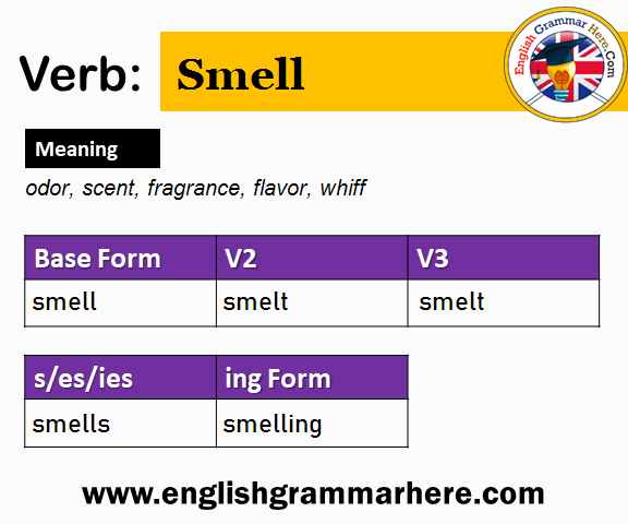Stink Past And Past Participle Form V1 V2 V3 V4 V5 Form of Stink