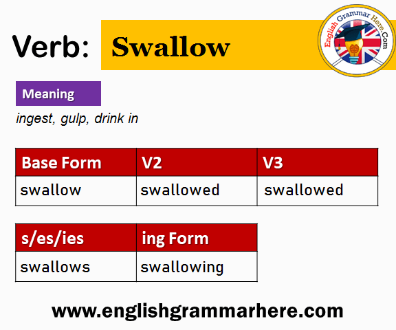 Swallow Past And Past Participle Form V1 V2 V3 V4 V5 Form of Swallow