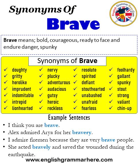 Synonyms of Brave Synonym Words for Brave