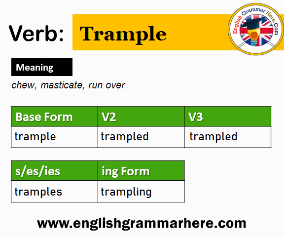 Trample Past And Past Participle Form V1 V2 V3 V4 V5 Form of Trample