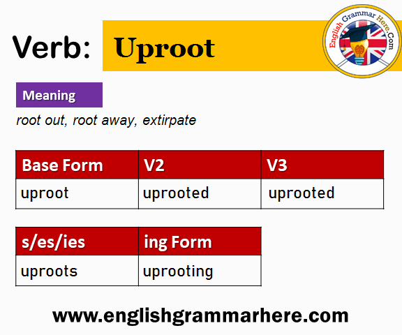 Uproot Past And Past Participle Form V1 V2 V3 V4 V5 Form of Uproot