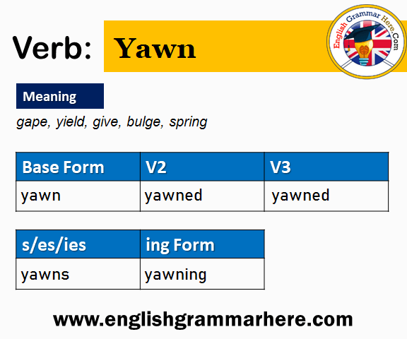 Yawn Past And Past Participle Form V1 V2 V3 V4 V5 Form of Yawn